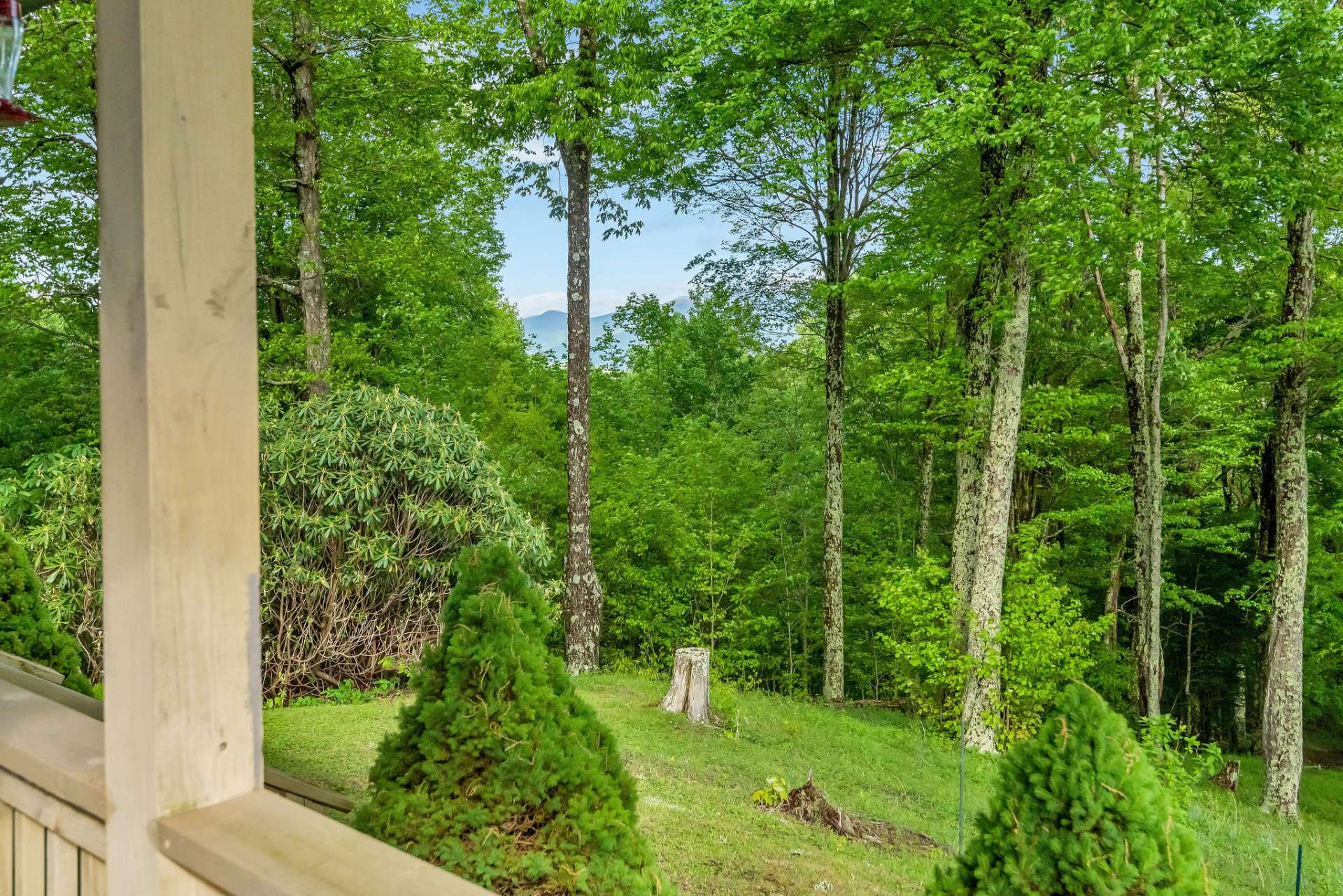 This property showcases a variety of mountain foliage.